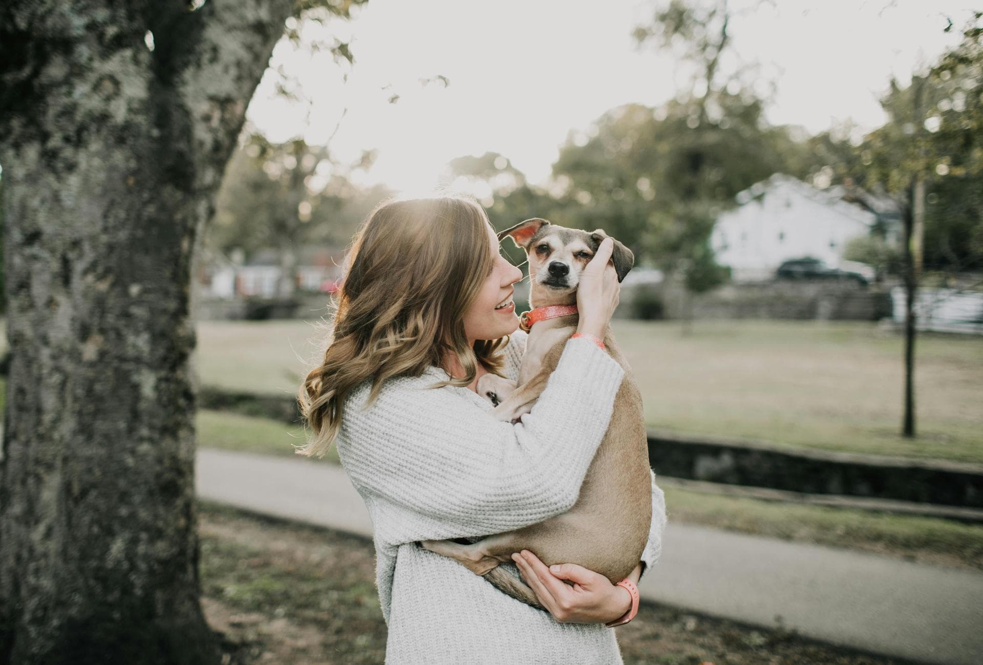 Kennel Cough Vaccine Prices in Swansea